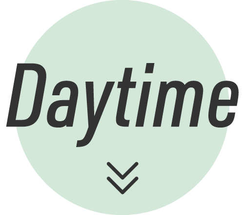 Daytime